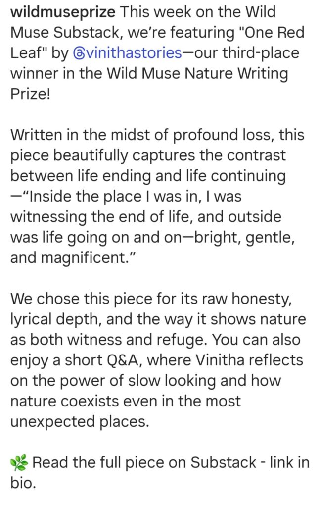 The Wild Muse Nature Writing Prize